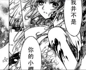 tsubasa翼年代记