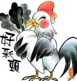 初二日生属鸡人命运好吗