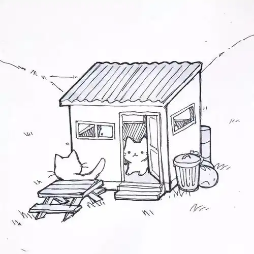 每日吸猫净化灵魂