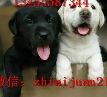 黄页88高清图片