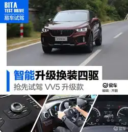 weyvv52018款旗舰版汽车图片-汽车图片大全-易车网