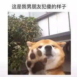 这50张图为啥在抖音上这么火