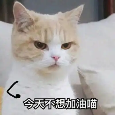 拉布拉多情侣头像两张狗