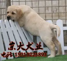 黄页88高清图片