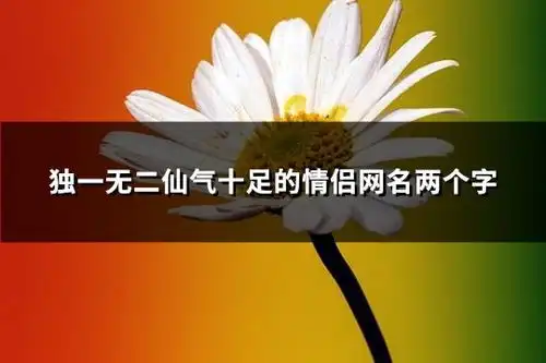 独一无二仙气十足的情侣网名两个字精选260个
