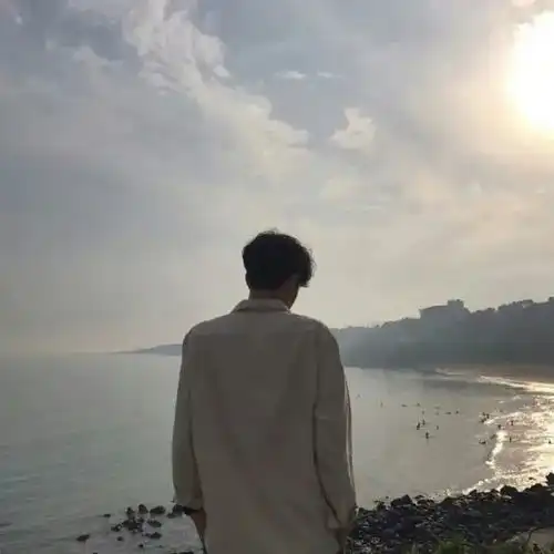 我没有拒绝吹来的风,也未能阻止这个结局