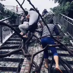 收到了一块一言难尽的月饼,给你看看爆笑囧图