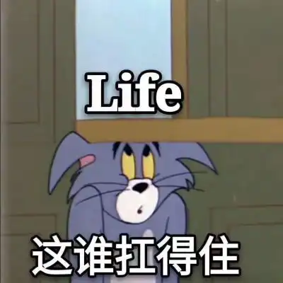 猫卡通头像情侣头像表情