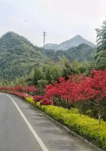 2014年清明节,自驾绩溪家朋仁里太极湖古村落三日