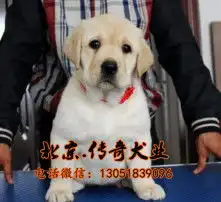 黄页88高清图片