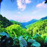 微信风景头像风水讲究