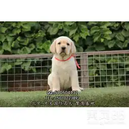 北京黄页88网