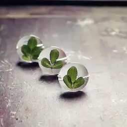 原创树叶植物干花树脂戒指指环生日礼物情侣堆糖,美好生活研究所