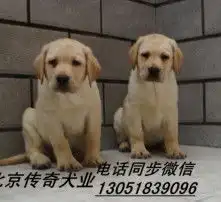 黄页88高清图片