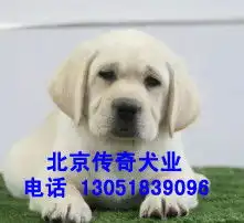 黄页88高清图片