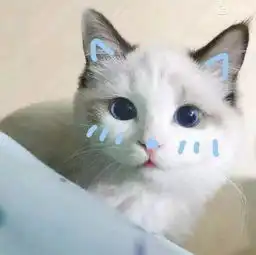 风里雨里青院等你喔