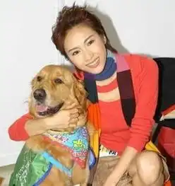 有可以帮我找到跟金毛在一起的女头像