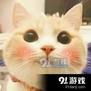 抖音三只猫咪点头gif动图v2.4下载抖音三只猫咪点头gif动图安卓版下载91手游网