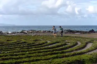 夏威夷之旅,找寻生命的原始悸动