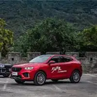 q宝情侣头像图集wey