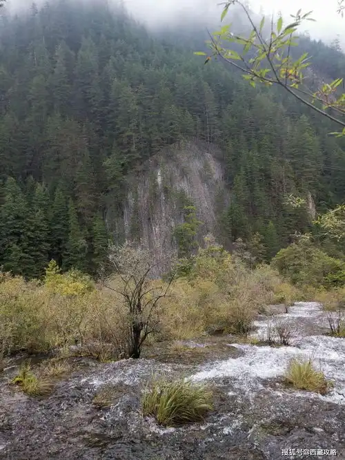 九寨沟三条旅游路线介绍,助你不虚此行轻松游玩二