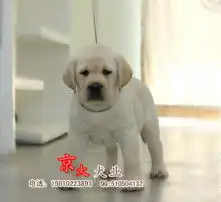 黄页88高清图片