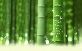 来自武大水公新的收集
