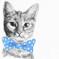 求超萌猫咪情侣qq头像