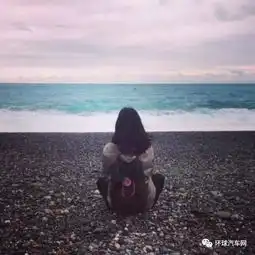 汽车界的强者,领跑2017中国自主研发年