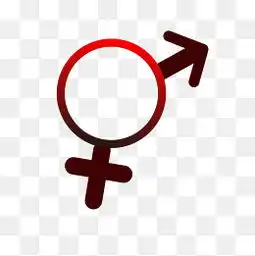 男女平等图片男女平等素材图片男女平等素材图片免费下载千库网png