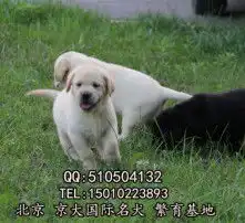 黄页88高清图片