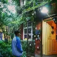情侣头像森林情侣