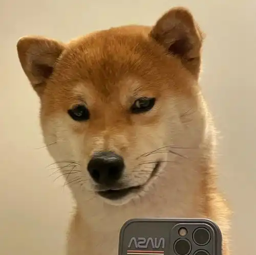 搞笑又沙雕的朋友圈文案