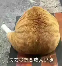 你不看恐怖片的原因是什么的