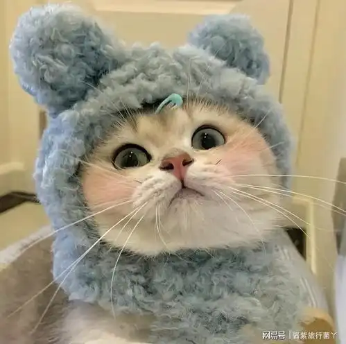 我小姑子和他儿子经常睡一张床,她儿子都11