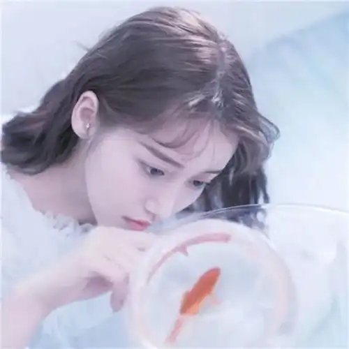 头像江山看不尽,最美镜中人