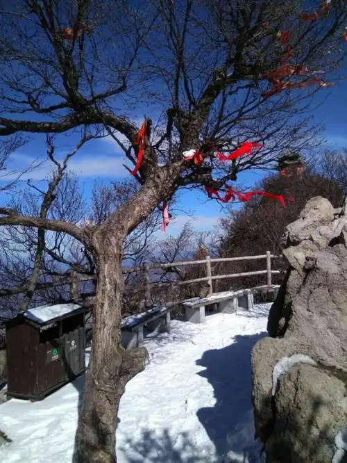 老君山一日游伏牛山主峰老子修练地
