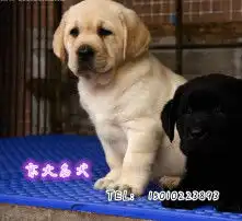 黄页88高清图片