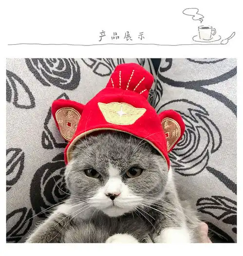 猫咪帽子头套泰迪博美法斗小狗抖音搞笑帽子宠物狗狗帽子头饰用品