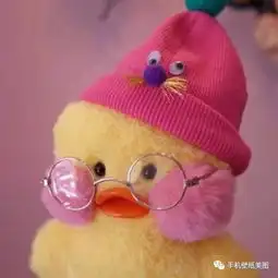 抖音热门情侣头像宠物壁