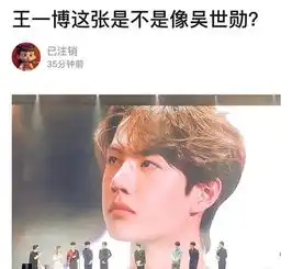 一品羡气退圈什么梗怎么回事王一博吴世勋长得像吗对比图