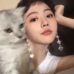 每日捧腹段子精选为什么闪婚,因为机不可失