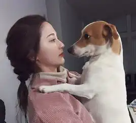 头像你最大的问题不是对未来迷茫而是无法起床