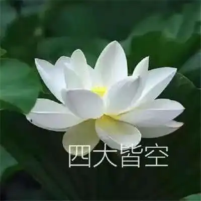 土味头像花开富贵