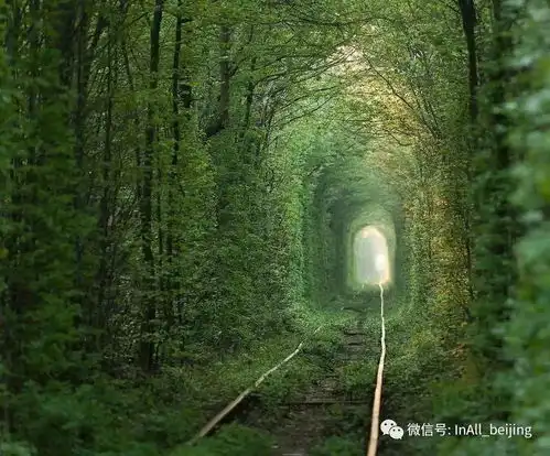 旅游全球各地的18个必试旅行体验