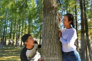 宏村旁的这个湖泊媲美喀纳斯,景色绝美