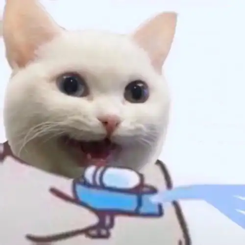 两只猫情头头像