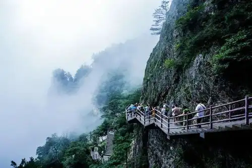 无预约不出游老君山夜爬指南来了还有免票政策