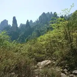张家界百龙天梯攻略,百龙天梯门票游玩攻略地址图片门票价格