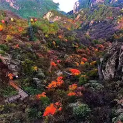 再过一个月,全国都要羡慕死洛阳人了这些地方将美到惊艳